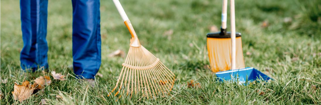 herramientas para limpiar jardín
